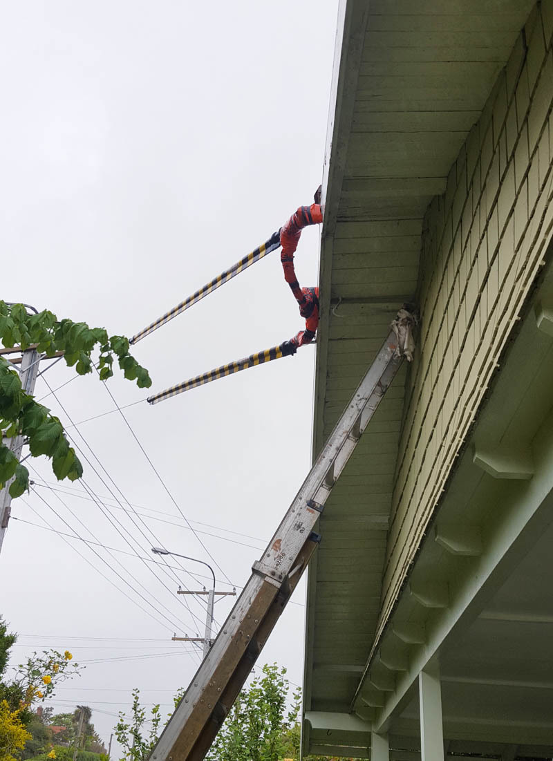Power line wraps Dunedin Power line protection